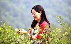 香蕉久久一区二区三区啪啪